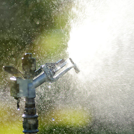 garden sprinkler in sunny backyard